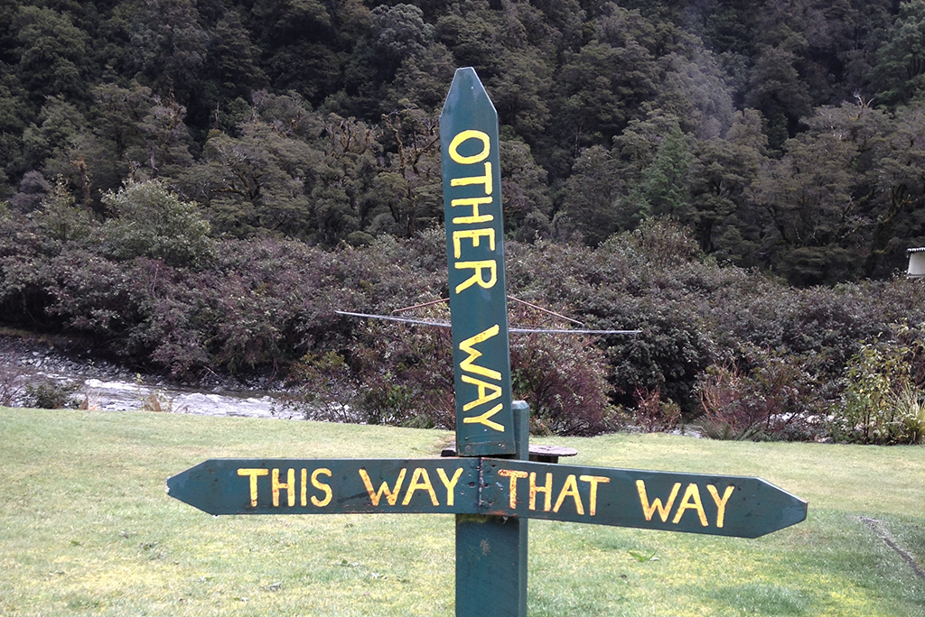 Understanding the NZ economy's mixed signals